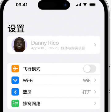 双江appleID维修服务iPhone设置中Apple ID显示为灰色无法使用