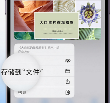 双江apple维修中心分享iPhone文件应用中存储和找到下载文件