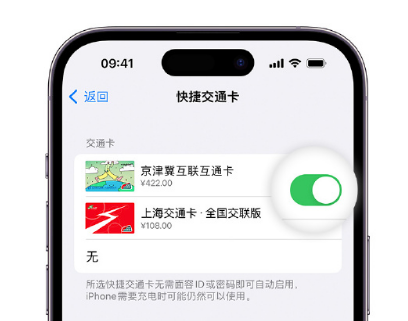 双江apple维修点分享iPhone上更换Apple Pay快捷交通卡手绘卡面 