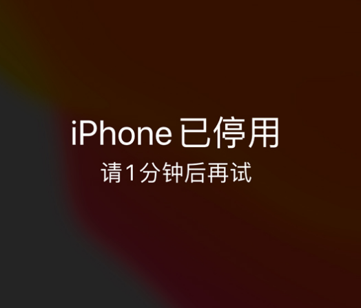 双江苹果手机维修分享:iPhone 显示“不可用”或“已停用”怎么办？还能保留数据吗？ 