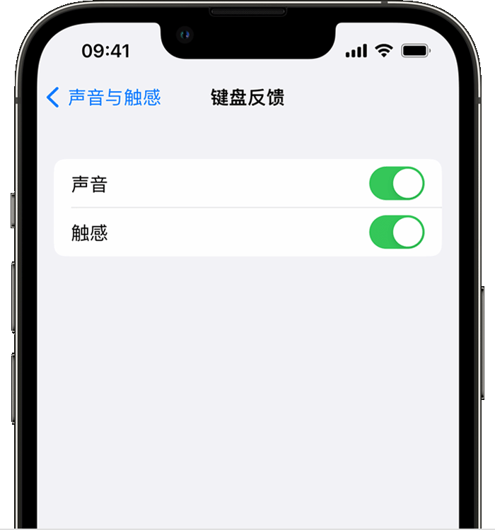 双江苹果14维修店分享如何在 iPhone 14 机型中使用触感键盘 