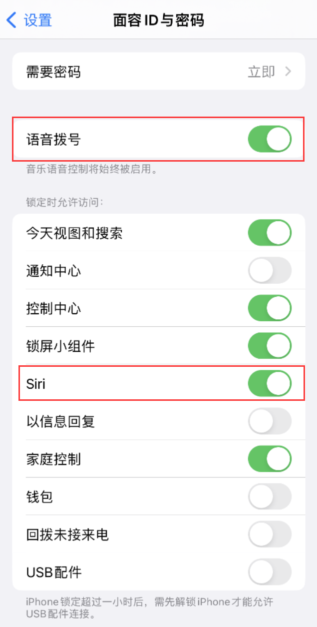 双江苹果维修网点分享不解锁 iPhone 的情况下通过 Siri 拨打电话的方法 