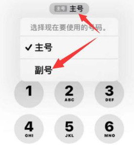 双江苹果14维修店分享iPhone 14 Pro Max使用副卡打电话的方法 