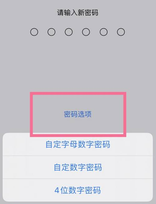 双江苹果14维修分享iPhone 14plus设置密码的方法 