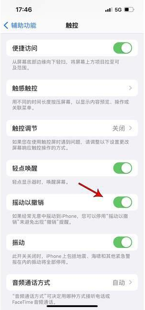 双江苹果手机维修分享iPhone手机如何设置摇一摇删除文字 